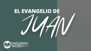 El Evangelio De Juan