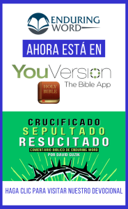ESP YouVersion Easter sidebar