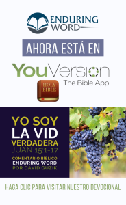 YouVersion John 15 Enduring Word Spanish