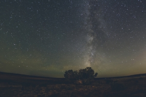 Visiones de noche